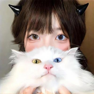 死亡录像4：启示录